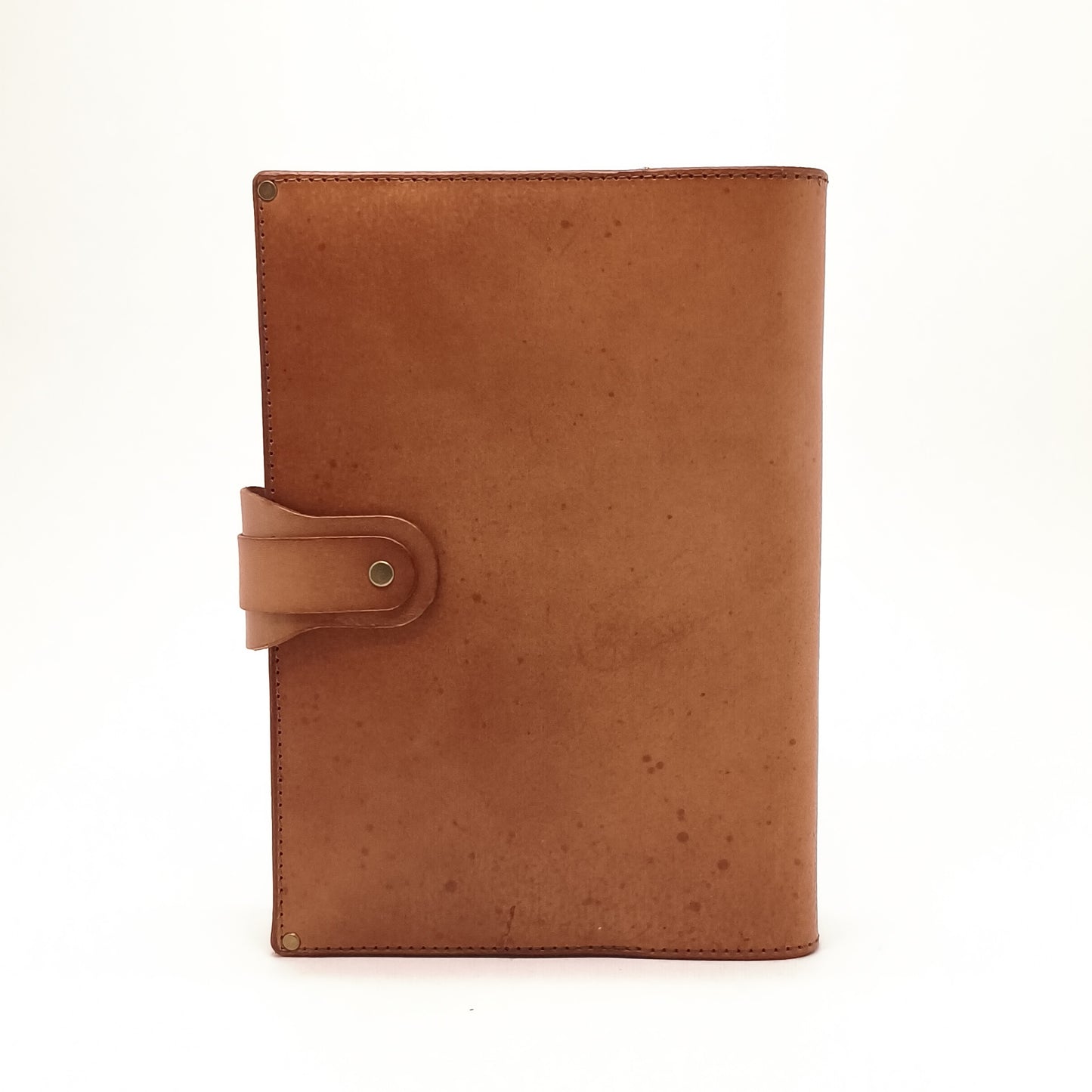 Lion and Briars Journal Large