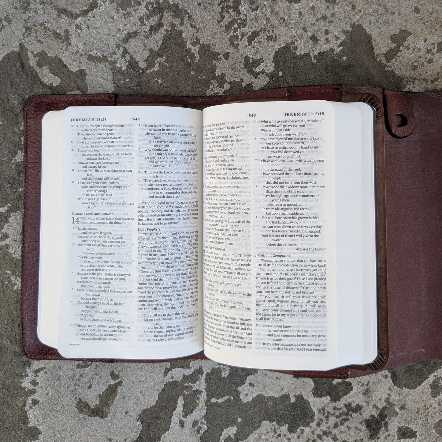Burgundy Leather Bible Cover with Compact ESV Bible