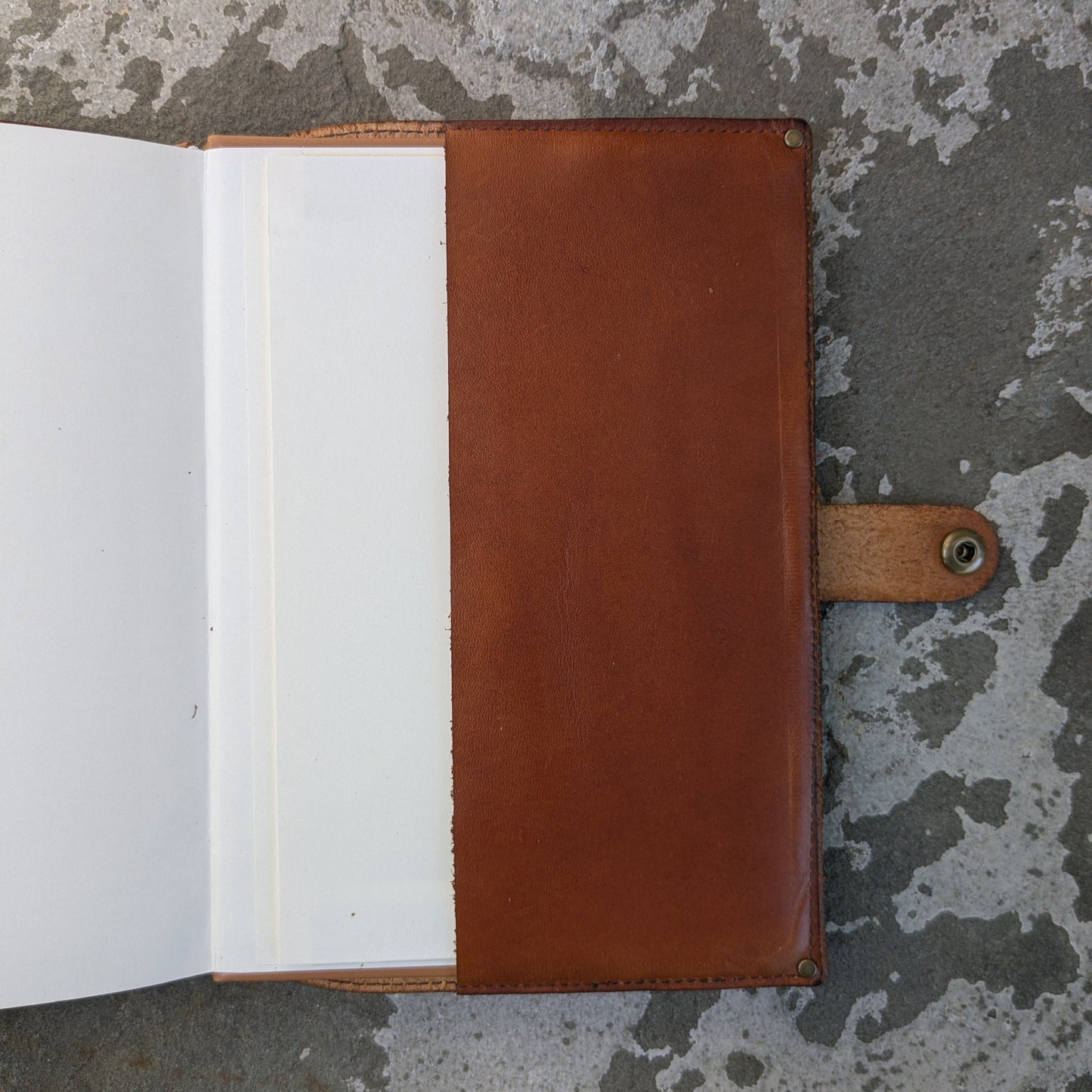Lion and Briars Journal - Large