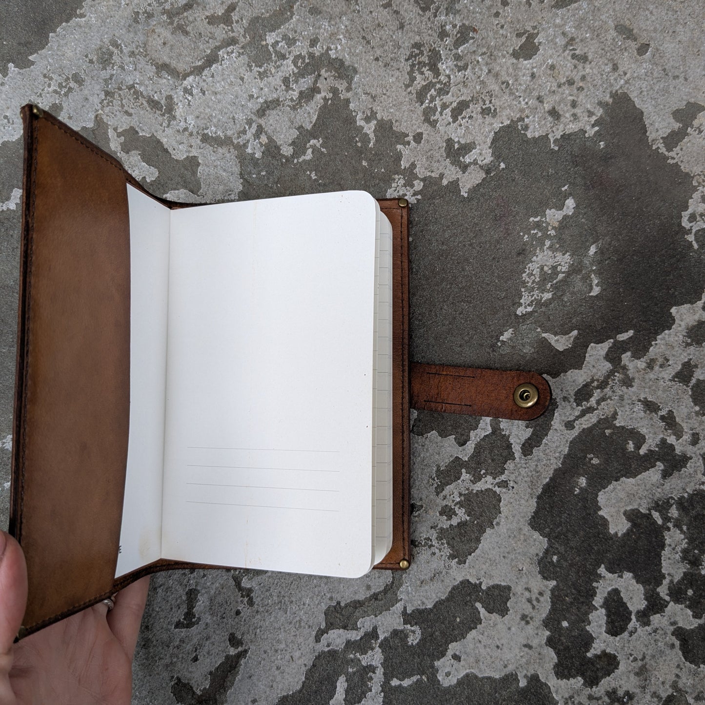 Mushrooms Tan Small Journal