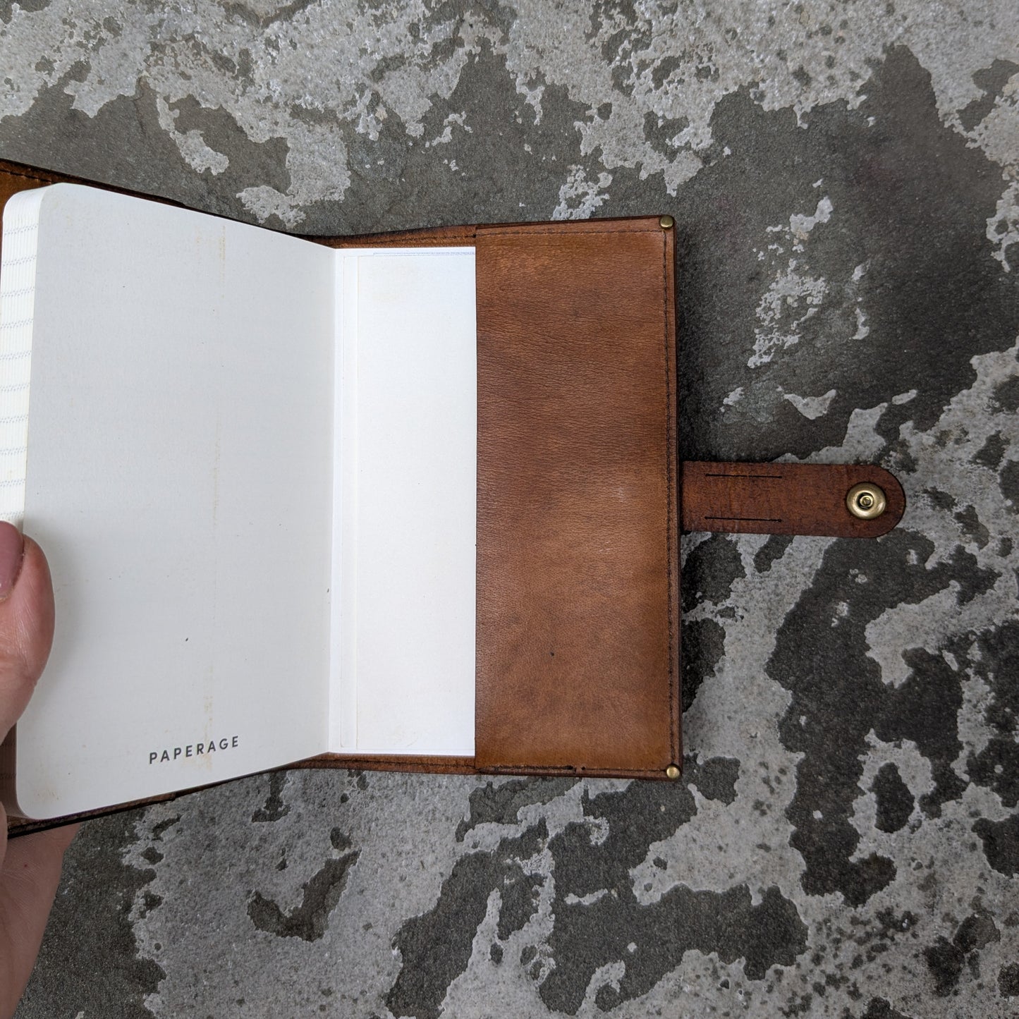 Mushrooms Tan Small Journal