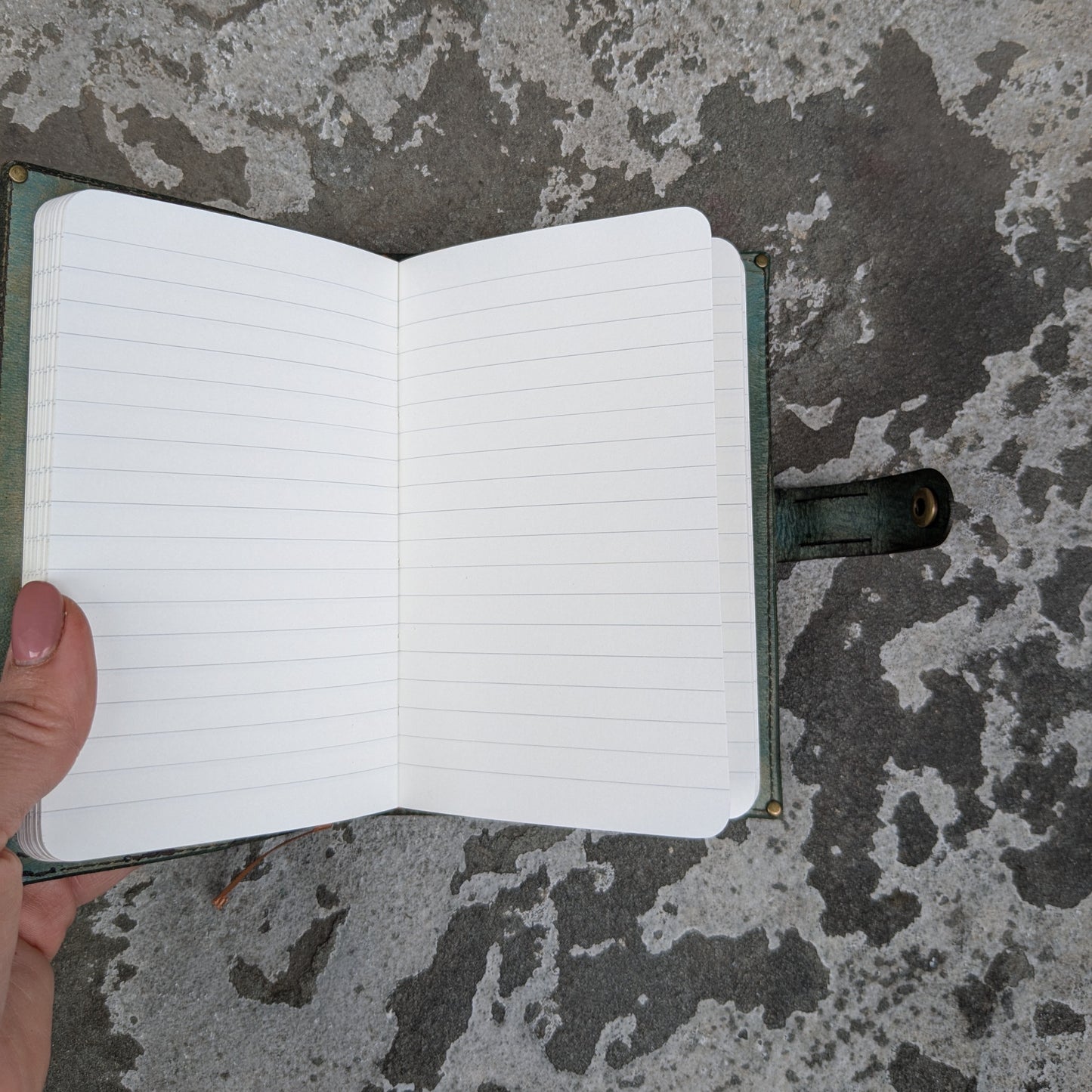 Night Moths and Poppies Journal