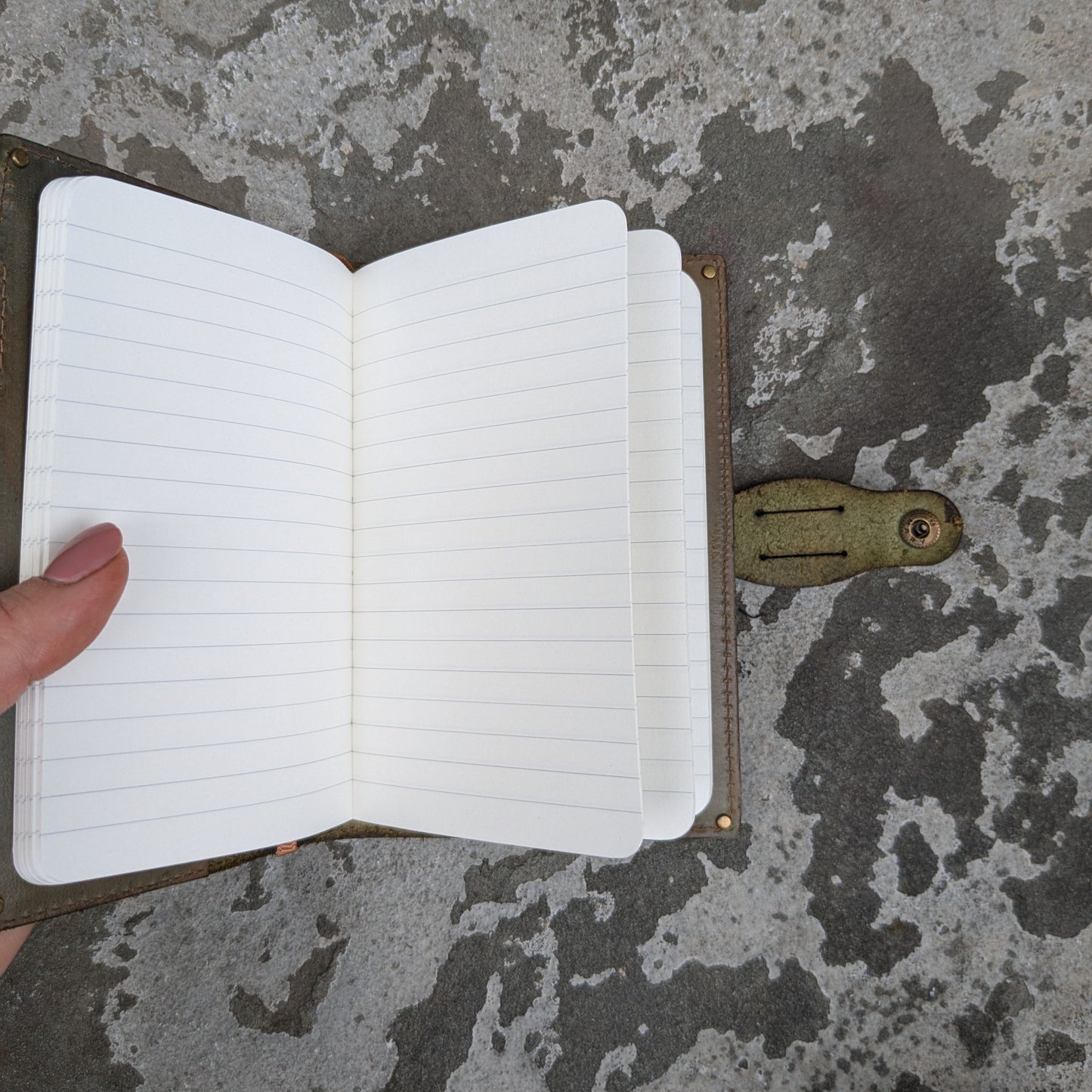 Gnarled Tree Small Journal