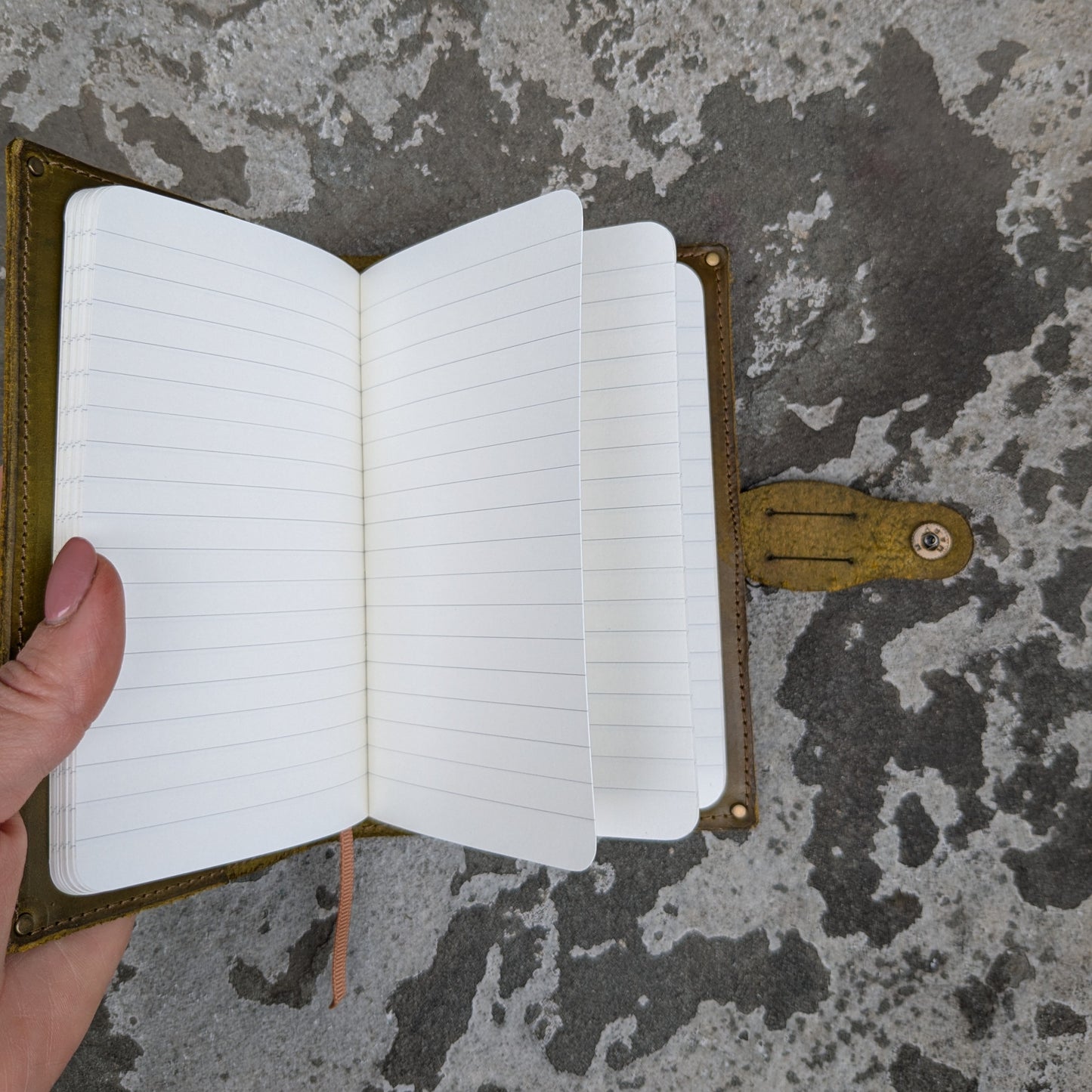 Grasshoppers Small Journal