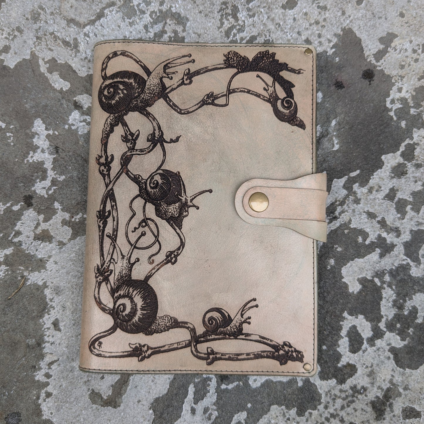 Snails Large Journal