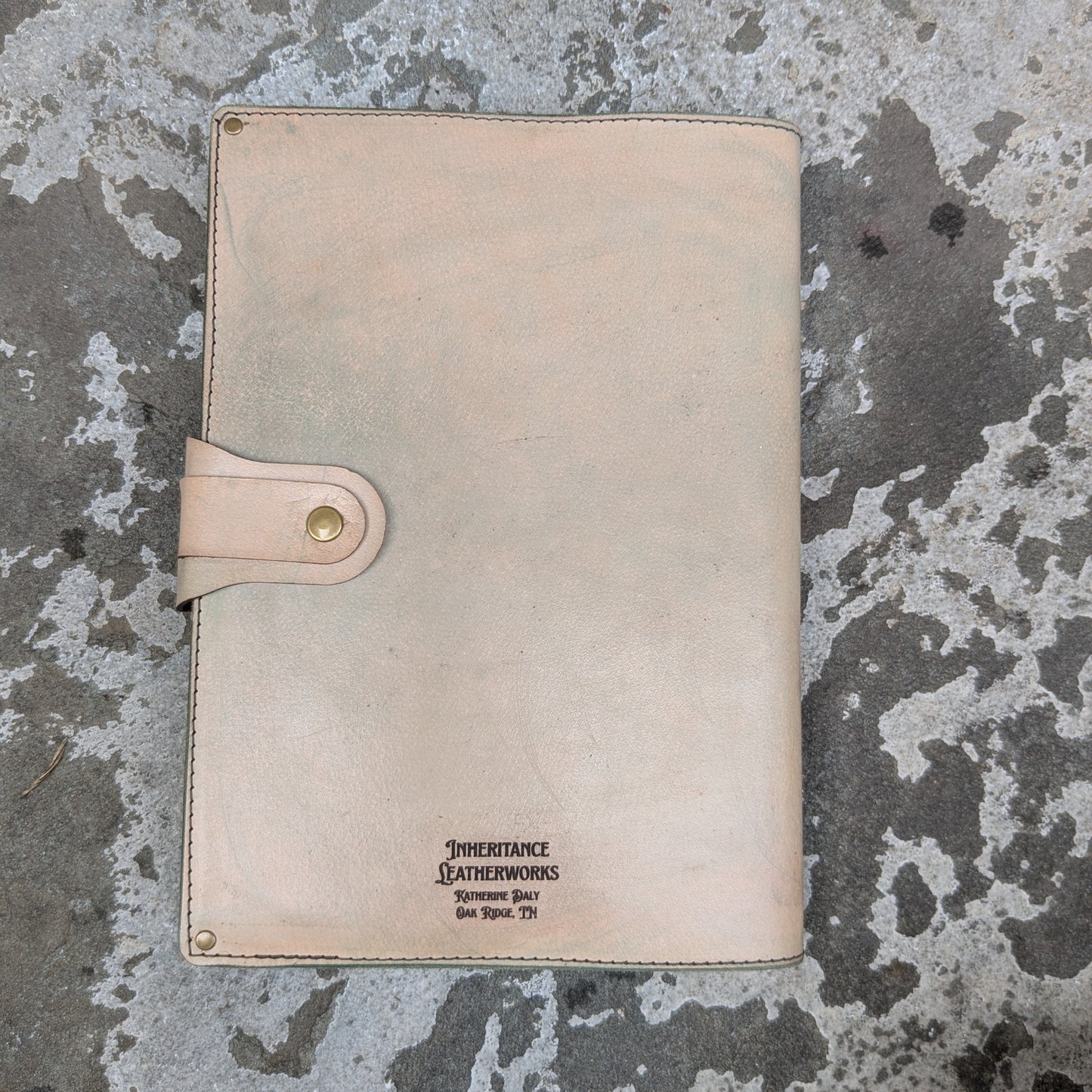 Snails Large Journal