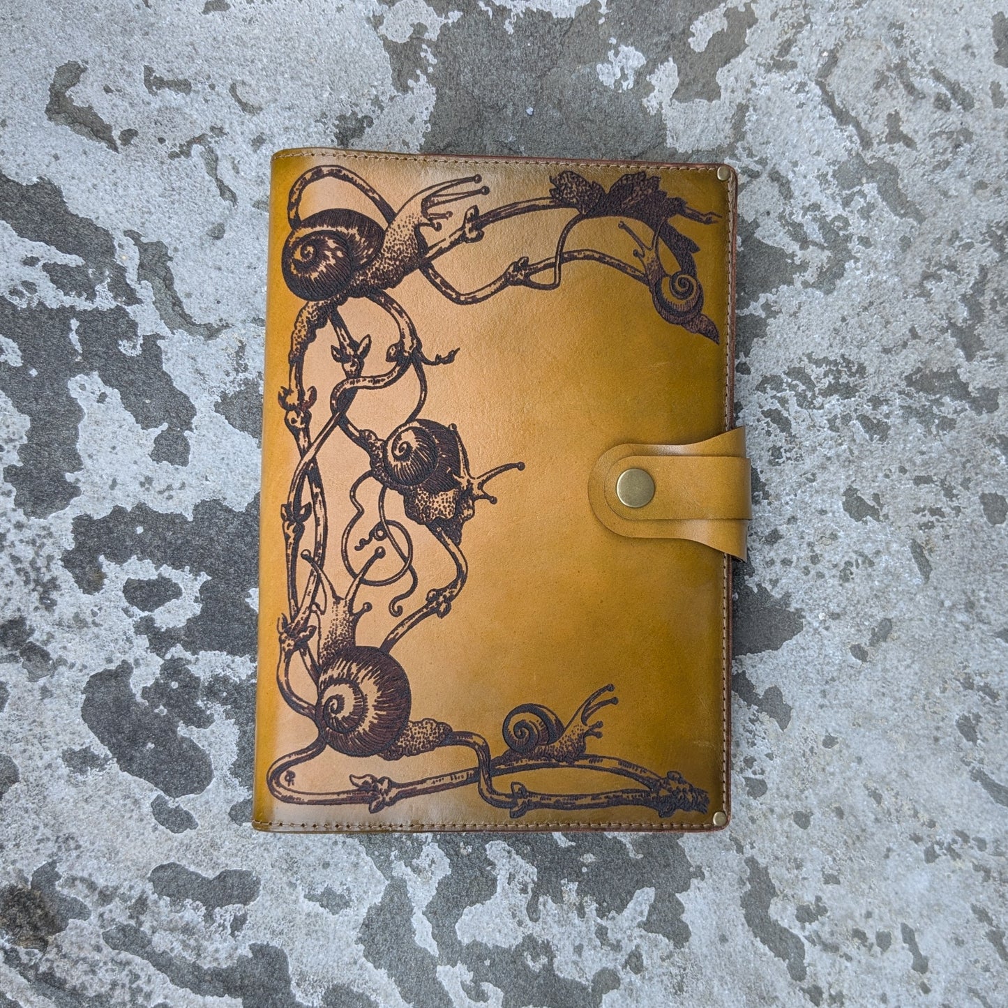 Snails Large Journal
