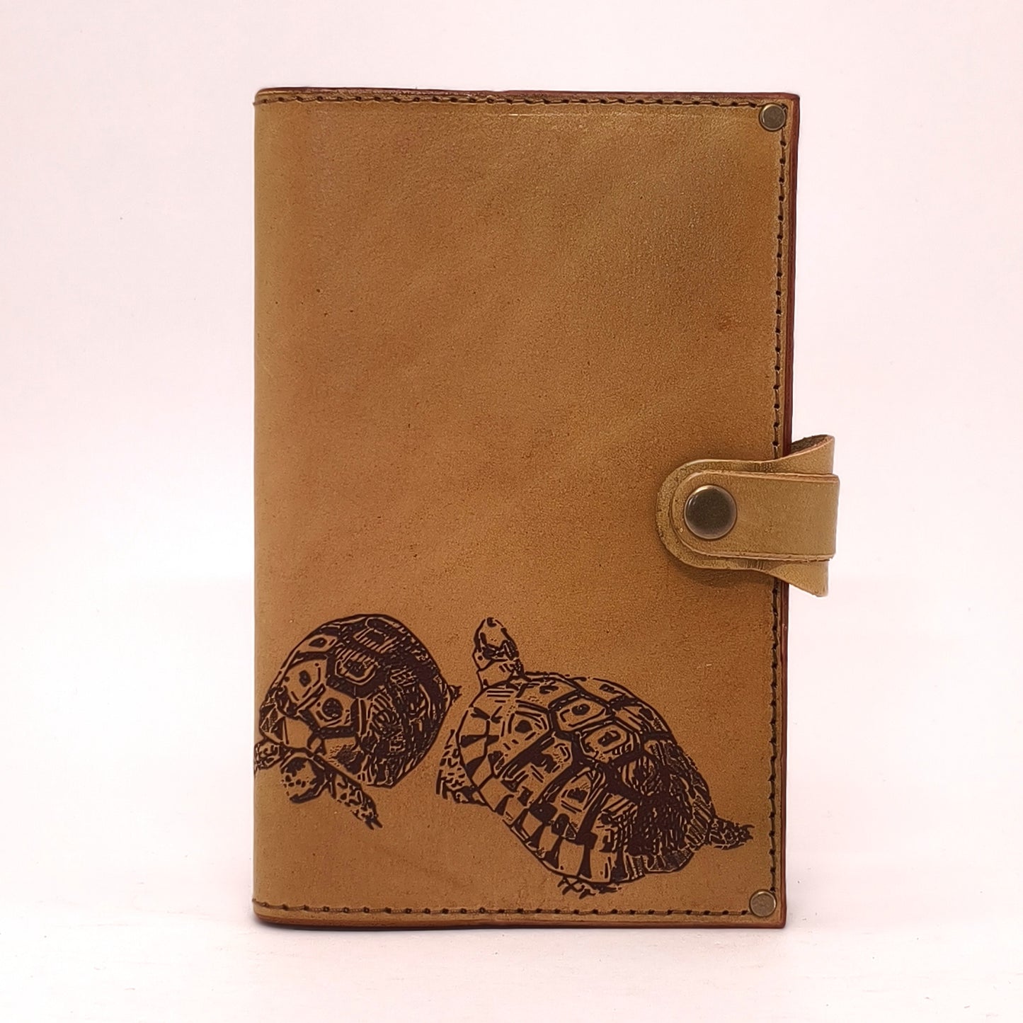 Box Turtles Journal Small