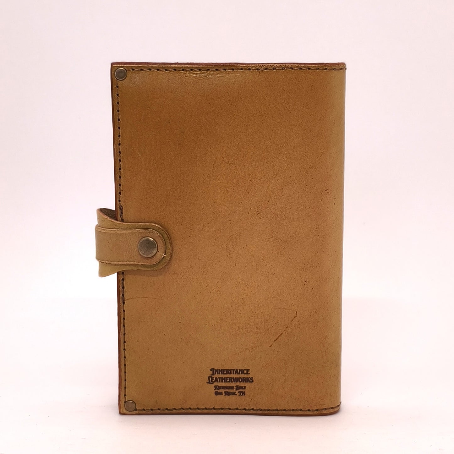 Box Turtles Journal Small