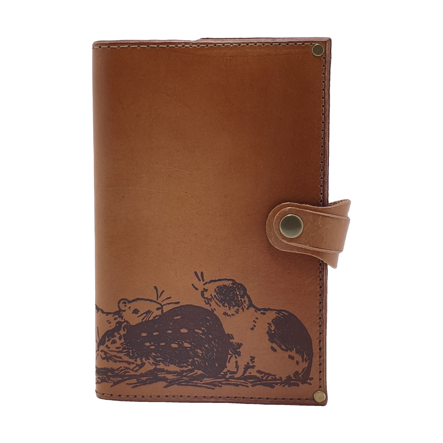Guinea Pig Journal