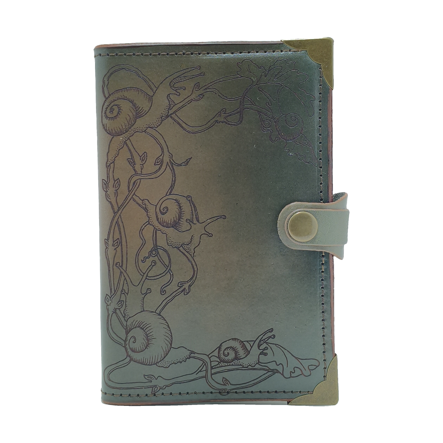 Snails Journal