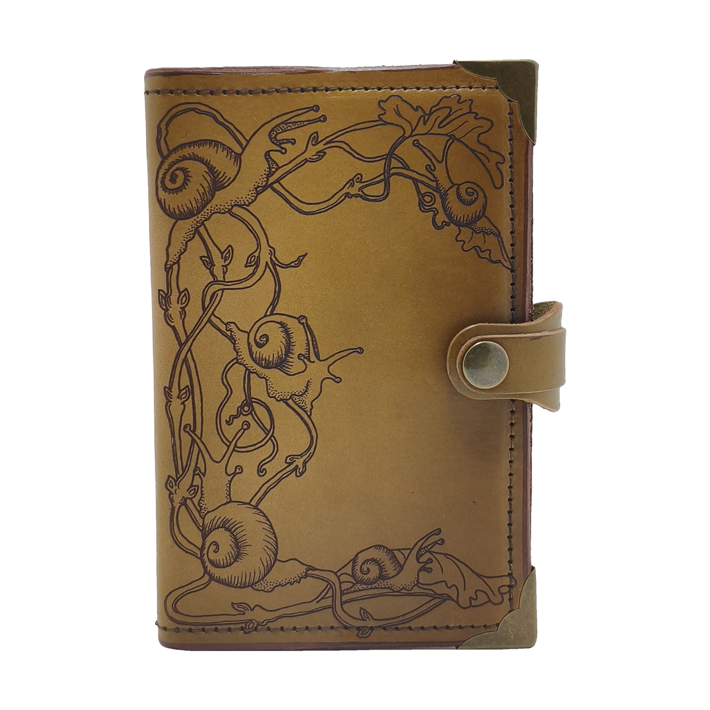 Snails Journal