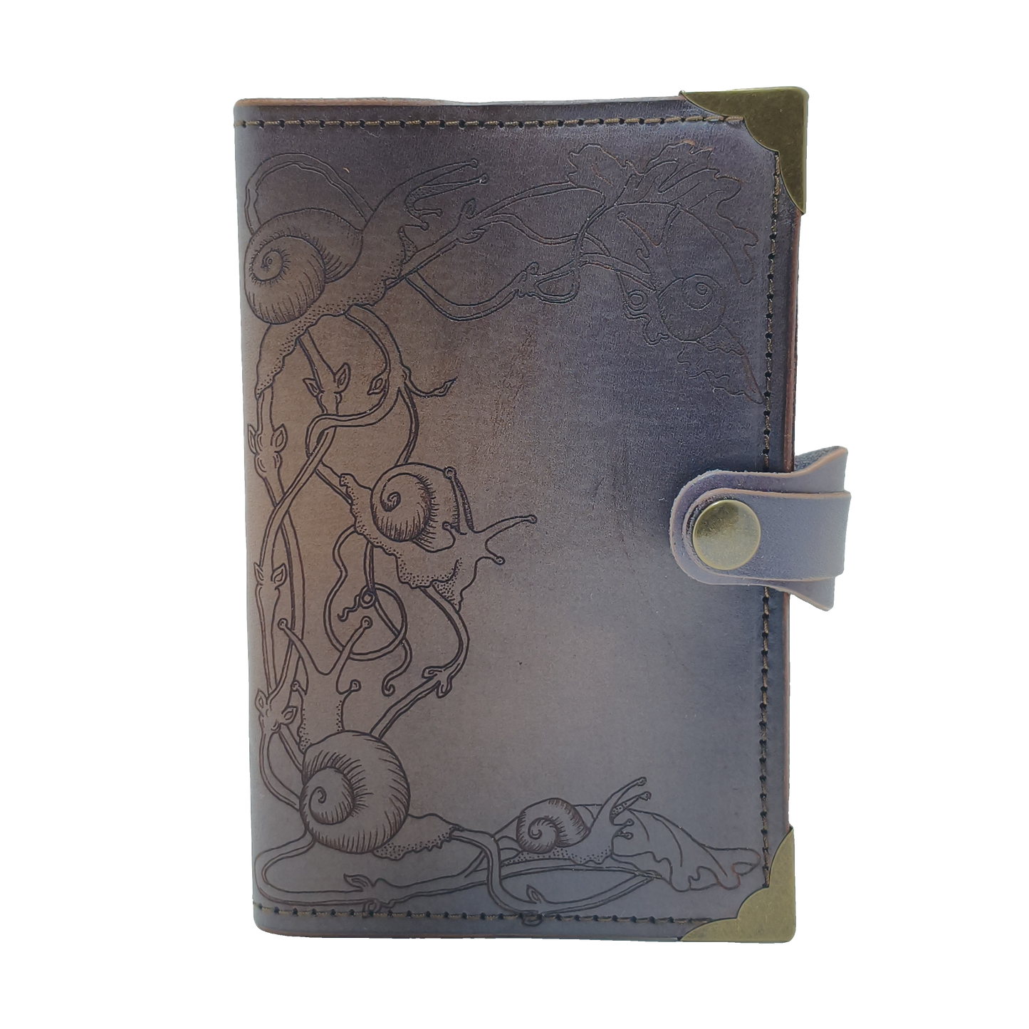 Snails Journal