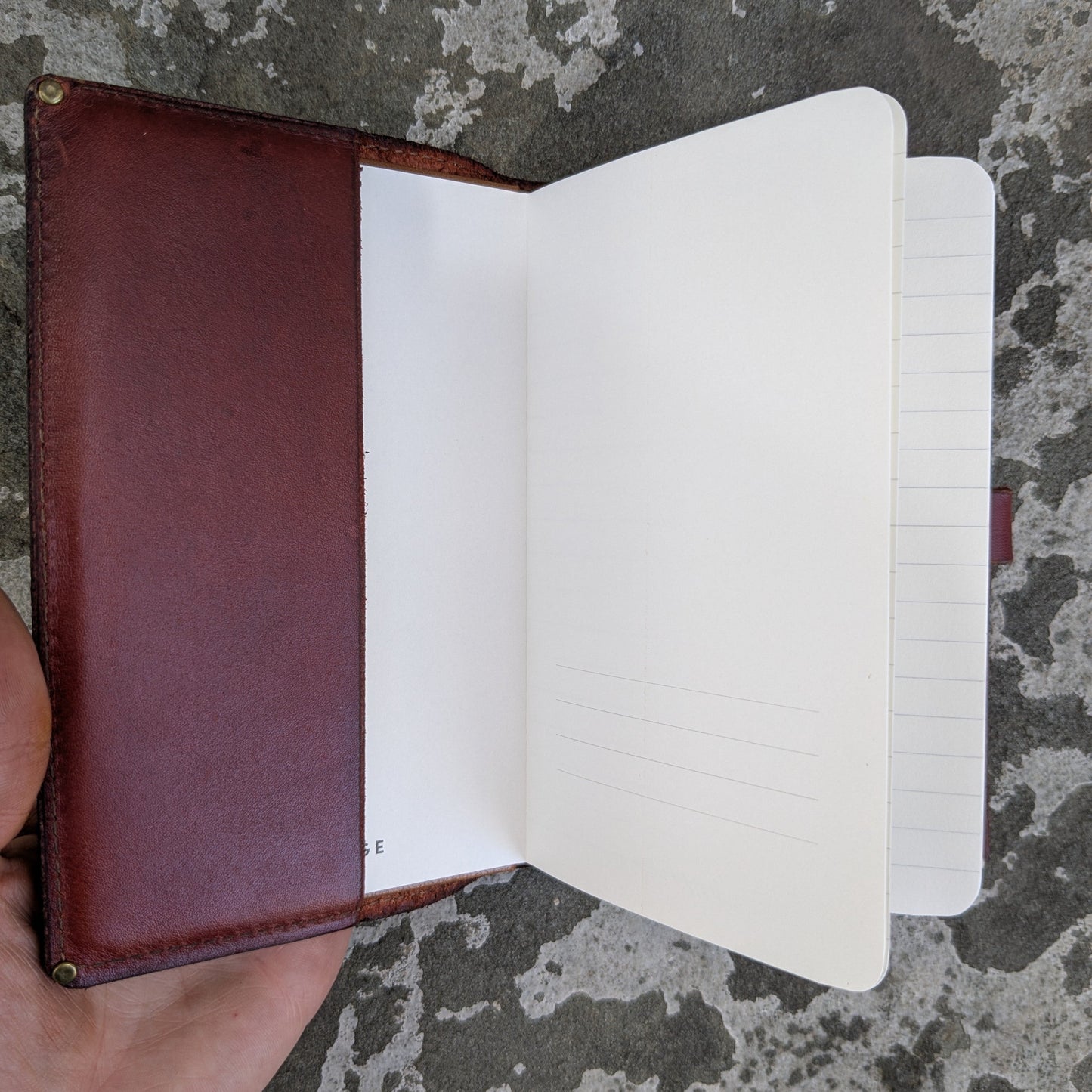Forest Journal in Burgundy - Small
