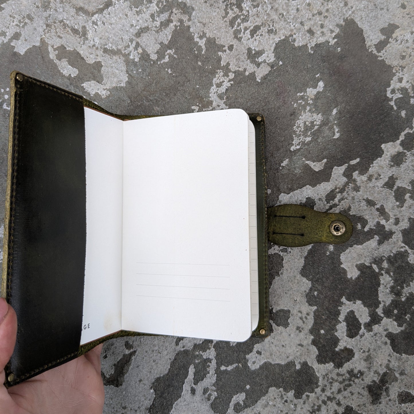 Dragon and Gryphon Green Small Journal