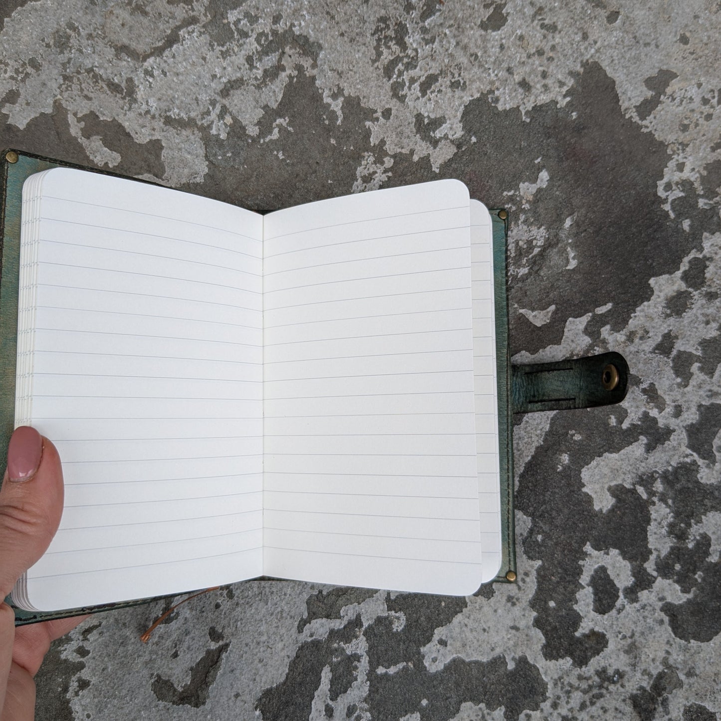 Lake Night Moths Small Journal