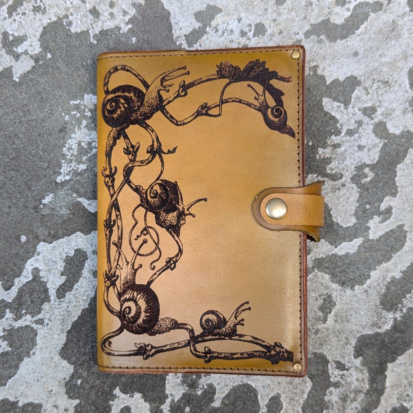 Snails Small Journal