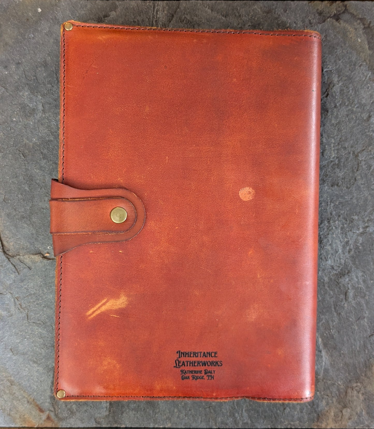 Lion and Briars Large Journal