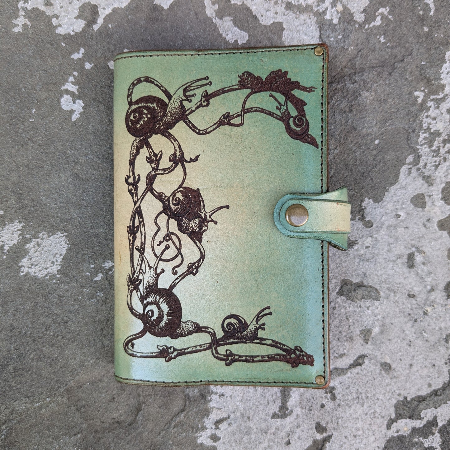 Snails Small Journal